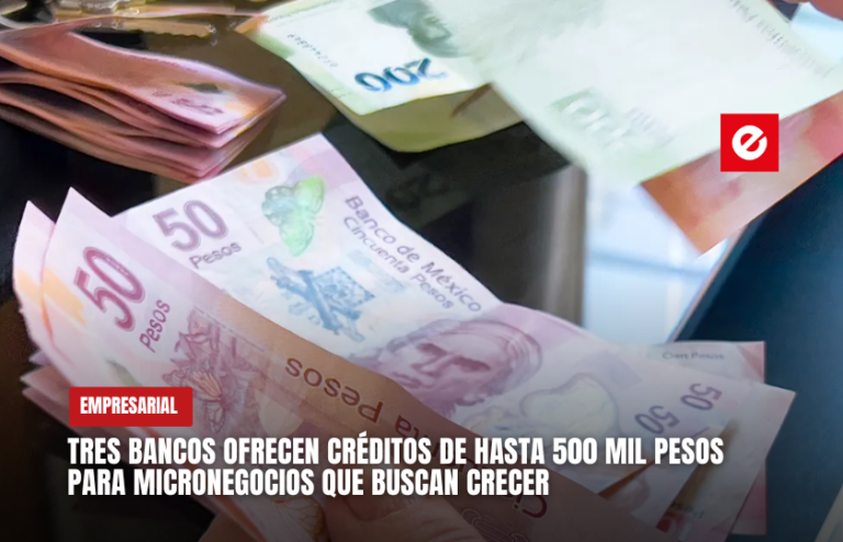 Tres bancos ofrecen créditos de hasta 500 mil pesos para micronegocios que buscan crecer